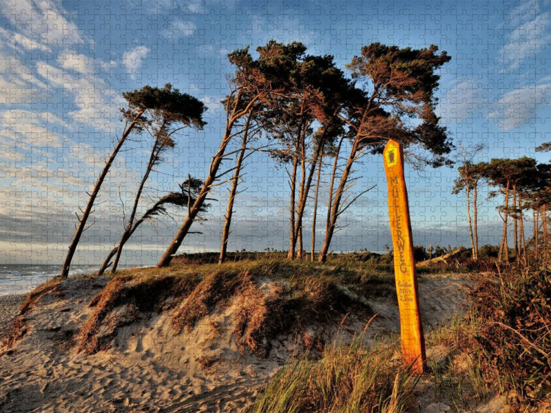 Es gibt Stellen, an denen die Bäume irgendwann Opfer von Wind und Wellen werden - CALVENDO Foto-Puzzle'
