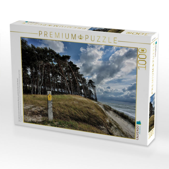 Der Wald mit seinen charakteristischen Bäumen reicht bis hinunter an den Strand - CALVENDO Foto-Puzzle'