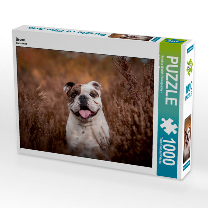 Bruce 1000 Teile Puzzle quer - CALVENDO Foto-Puzzle'