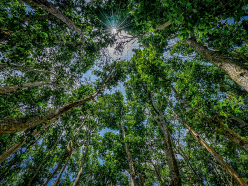 Jozani Forest - CALVENDO photo puzzle 