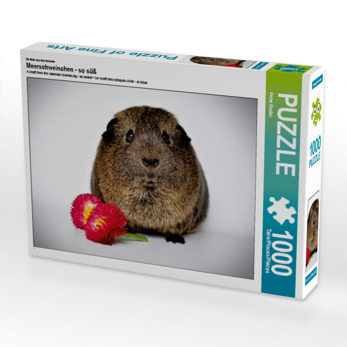 Cochon d'Inde - tellement mignon - Puzzle photo CALVENDO 