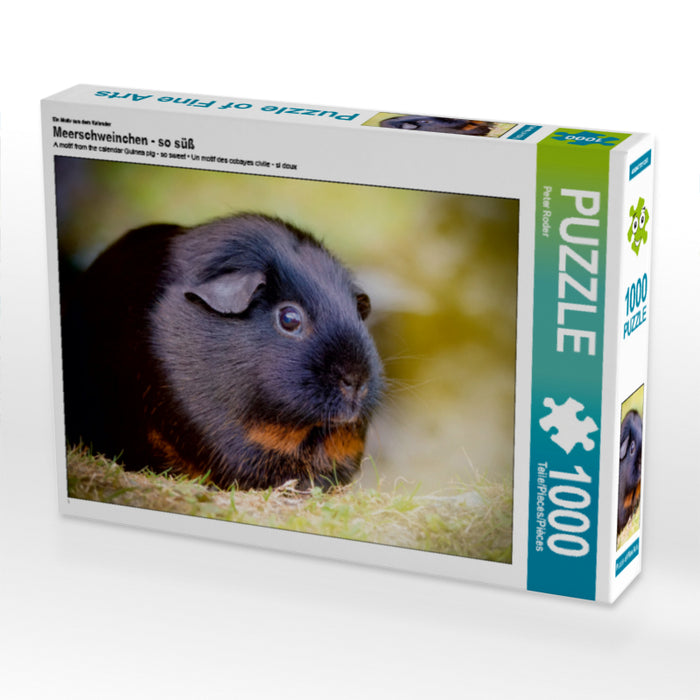 Ein Motiv aus dem Kalender Meerschweinchen - so süß 1000 Teile Puzzle quer - CALVENDO Foto-Puzzle'