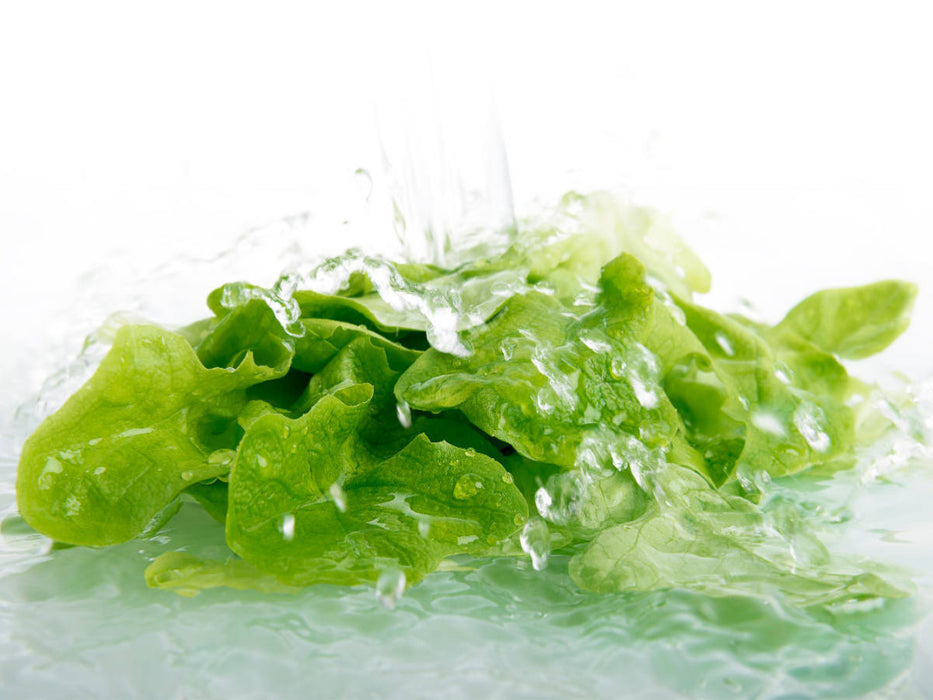 Frischer Salat - CALVENDO Foto-Puzzle'