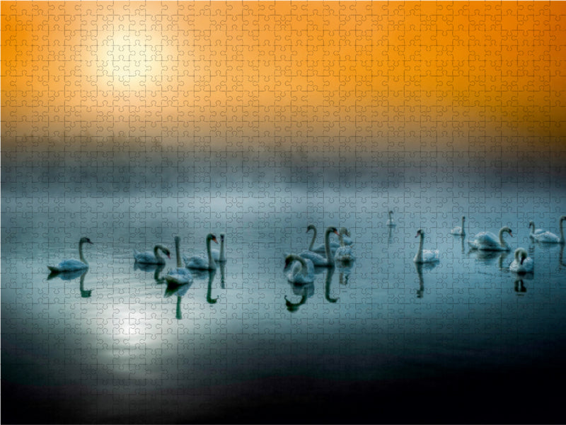 Swan Lake near Teublitz - CALVENDO photo puzzle 