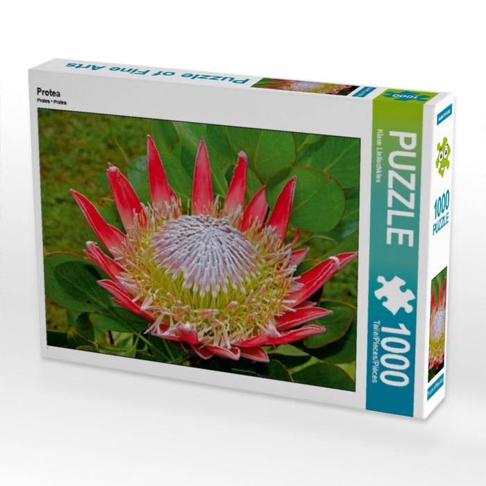 Protea - CALVENDO photo puzzle 
