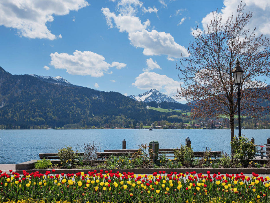 Frühlingshaftes Seeufer am Kurort Tegernsee - CALVENDO Foto-Puzzle'