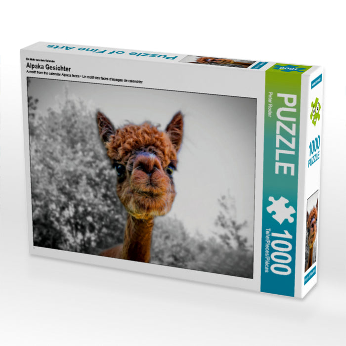 Ein Motiv aus dem Kalender Alpaka Gesichter 1000 Teile Puzzle quer - CALVENDO Foto-Puzzle'