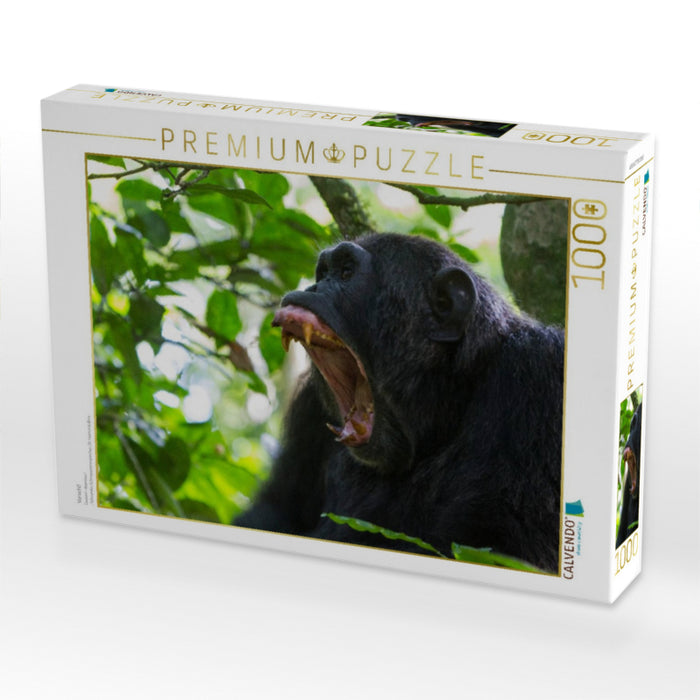 Vorsicht! - CALVENDO Foto-Puzzle'