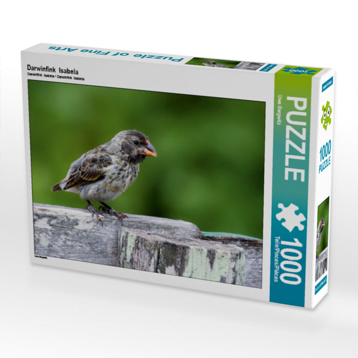 Darwin finch Isabela - CALVENDO photo puzzle 