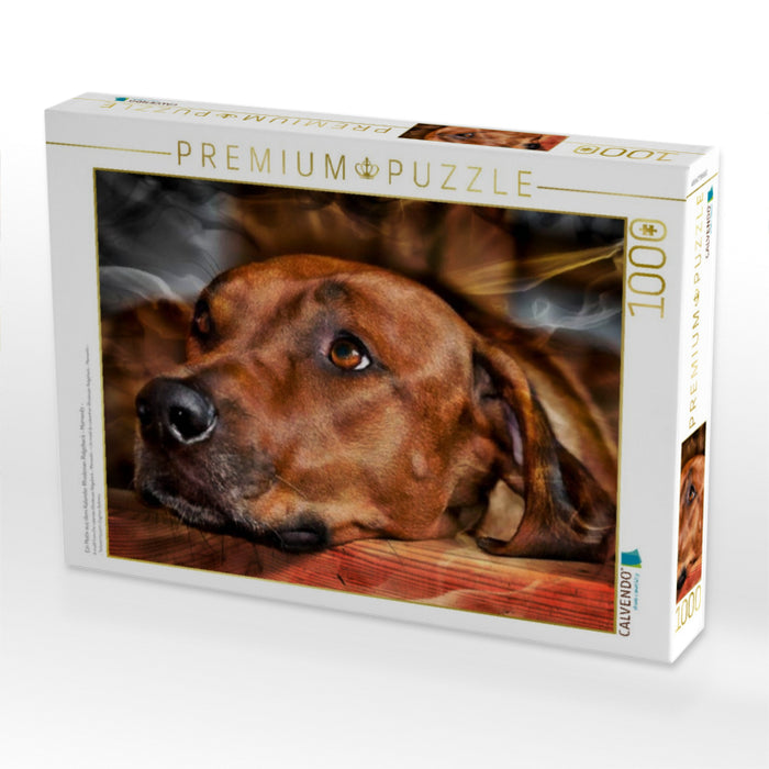 Ein Motiv aus dem Kalender Rhodesian Ridgeback - Moments - - CALVENDO Foto-Puzzle'
