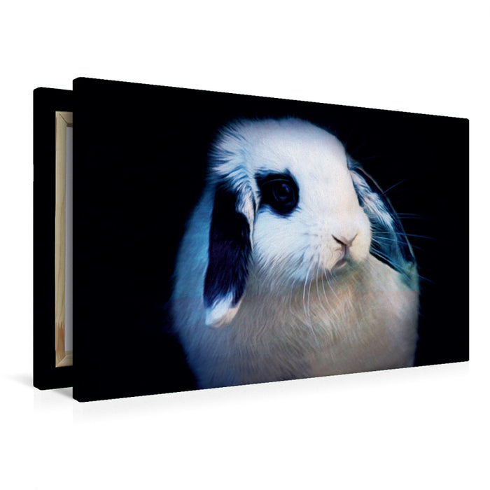 Premium Textil-Leinwand Kaninchen