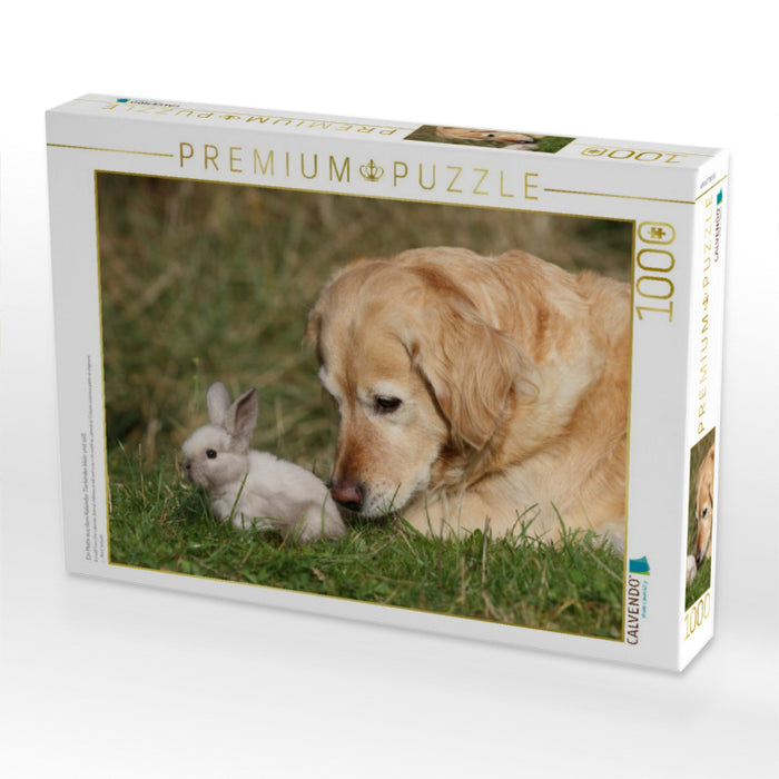 Ein Motiv aus dem Kalender Tierkinder klein und süß - CALVENDO Foto-Puzzle'