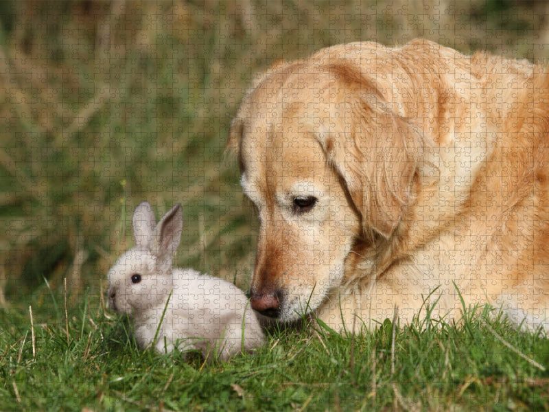 Ein Motiv aus dem Kalender Tierkinder klein und süß - CALVENDO Foto-Puzzle'