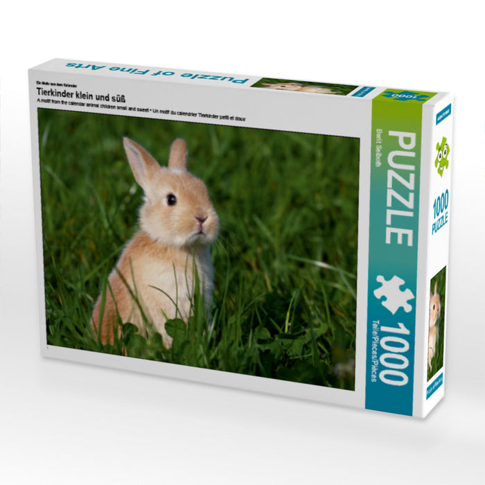 Ein Motiv aus dem Kalender Tierkinder klein und süß 1000 Teile Puzzle quer - CALVENDO Foto-Puzzle'