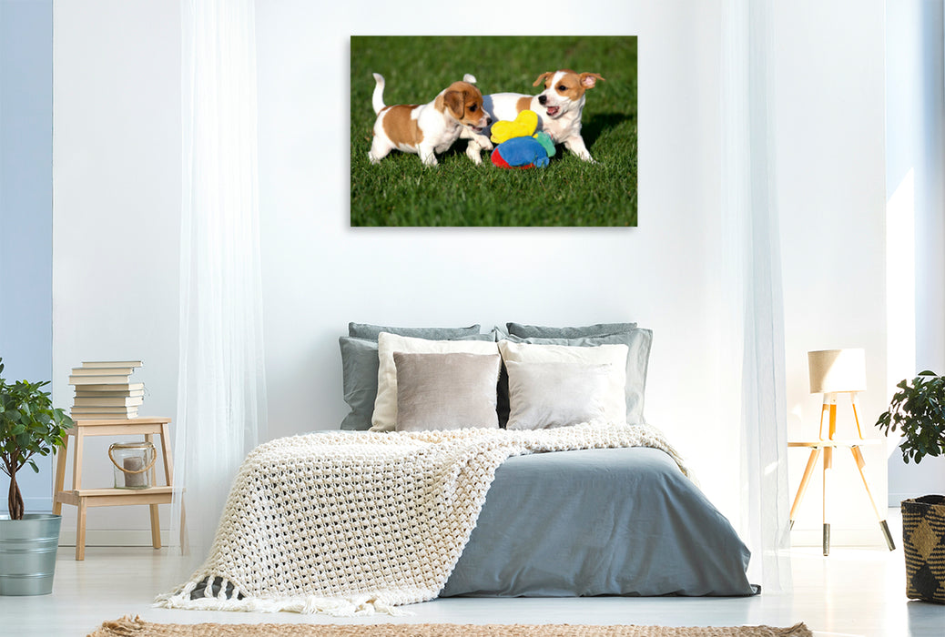 Premium Textil-Leinwand Premium Textil-Leinwand 120 cm x 80 cm quer Jack Russel Welpen