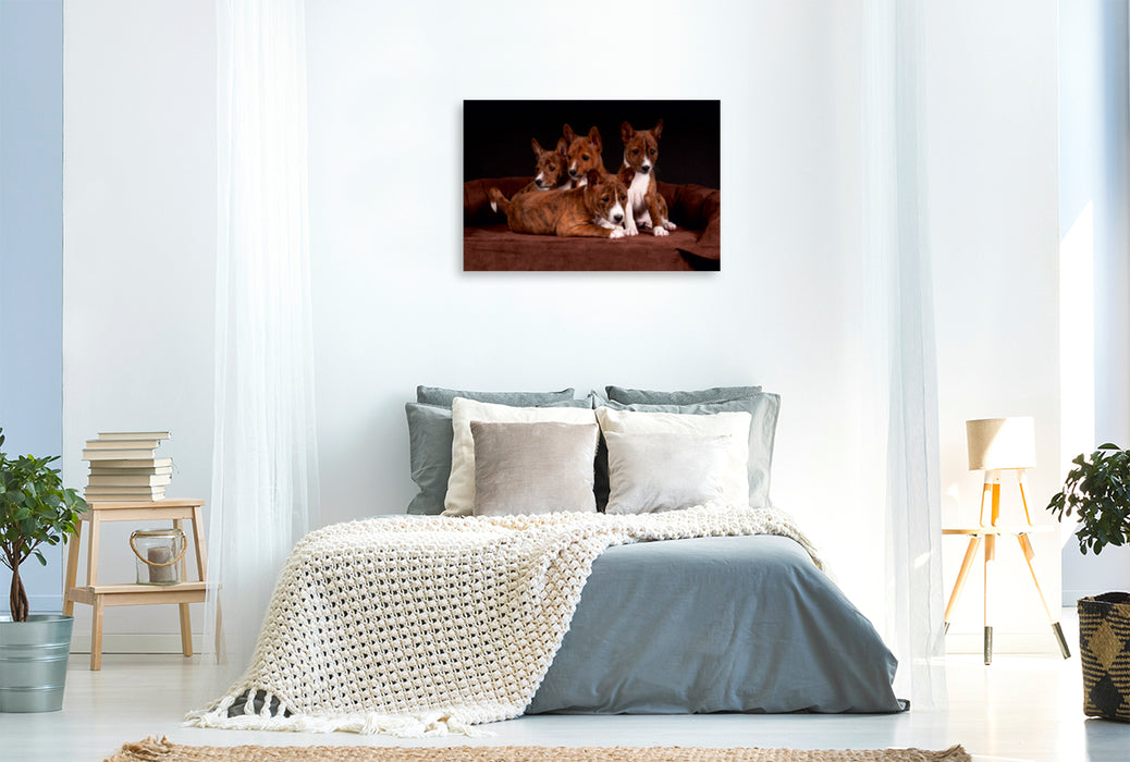 Premium Textil-Leinwand Premium Textil-Leinwand 120 cm x 80 cm quer Ein Motiv aus dem Kalender Süße Basenji-Kinder