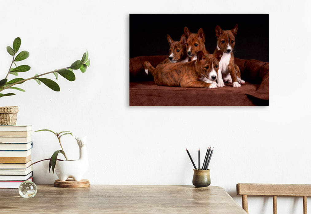 Premium Textil-Leinwand Premium Textil-Leinwand 120 cm x 80 cm quer Ein Motiv aus dem Kalender Süße Basenji-Kinder