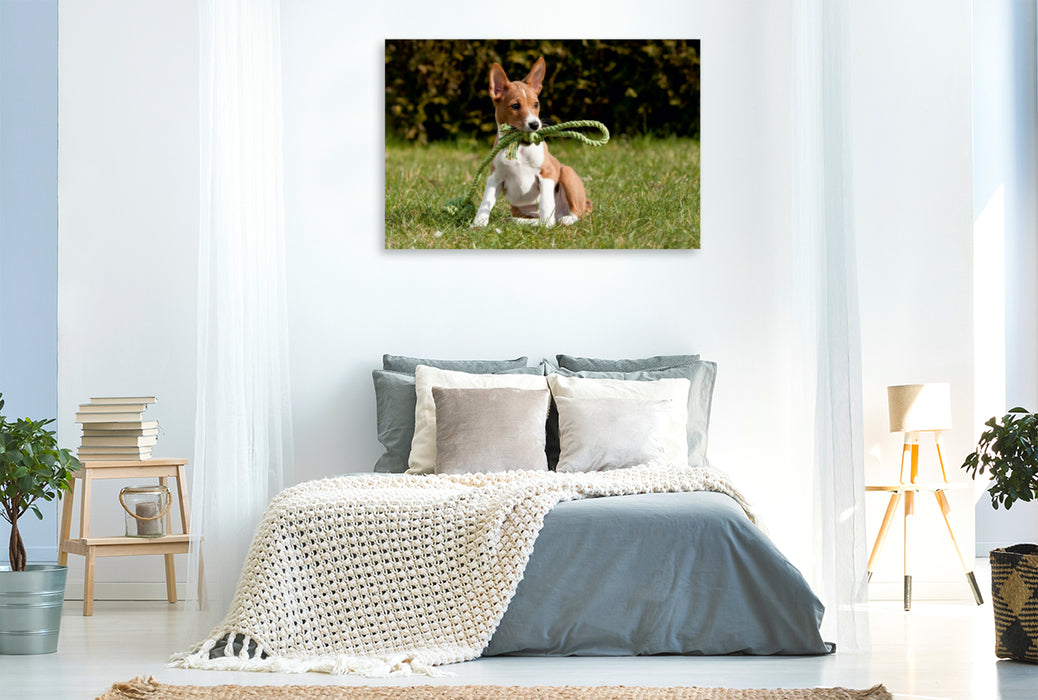 Premium Textil-Leinwand Premium Textil-Leinwand 120 cm x 80 cm quer Ein Motiv aus dem Kalender Süße Basenji-Kinder