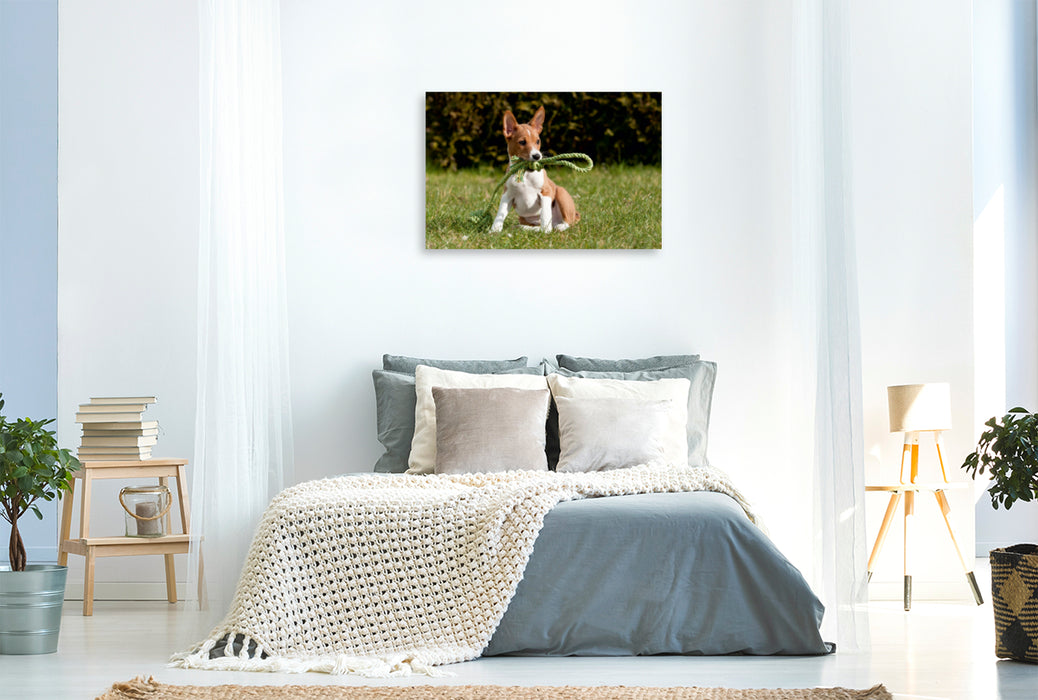 Premium Textil-Leinwand Premium Textil-Leinwand 120 cm x 80 cm quer Ein Motiv aus dem Kalender Süße Basenji-Kinder