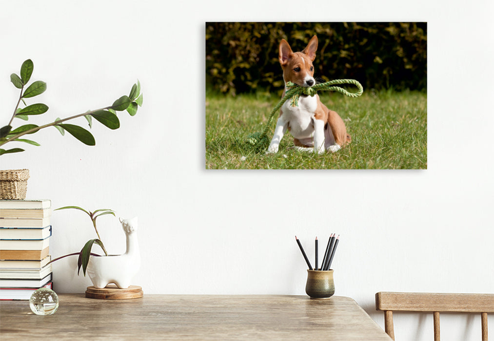 Premium Textil-Leinwand Premium Textil-Leinwand 120 cm x 80 cm quer Ein Motiv aus dem Kalender Süße Basenji-Kinder