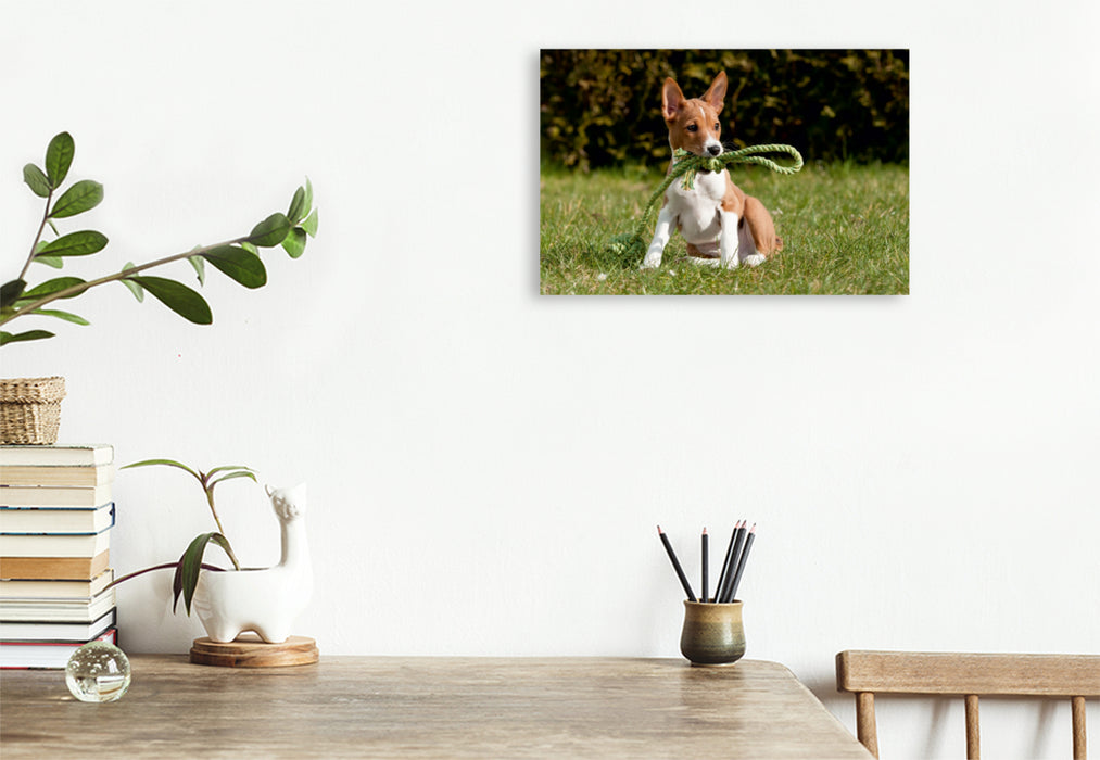 Premium Textil-Leinwand Premium Textil-Leinwand 120 cm x 80 cm quer Ein Motiv aus dem Kalender Süße Basenji-Kinder