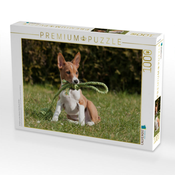 Ein Motiv aus dem Kalender Süße Basenji-Kinder - CALVENDO Foto-Puzzle'