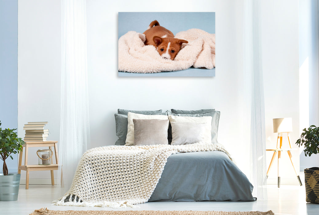 Premium Textil-Leinwand Premium Textil-Leinwand 120 cm x 80 cm quer Ein Motiv aus dem Kalender Süße Basenji-Kinder