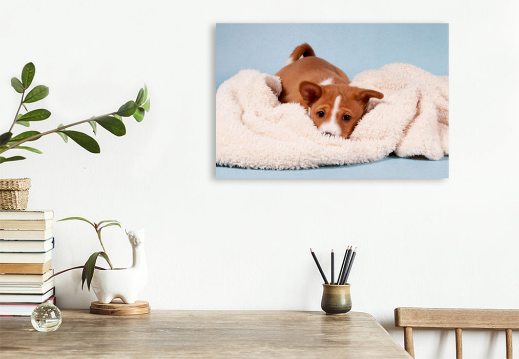 Premium Textil-Leinwand Premium Textil-Leinwand 120 cm x 80 cm quer Ein Motiv aus dem Kalender Süße Basenji-Kinder