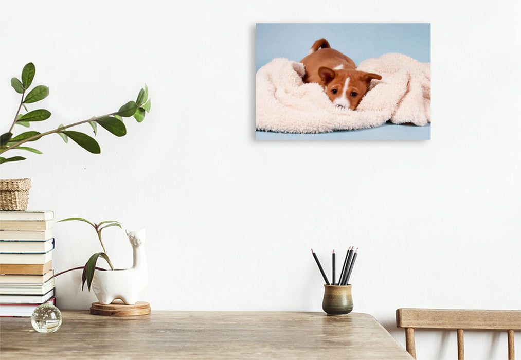 Premium Textil-Leinwand Premium Textil-Leinwand 120 cm x 80 cm quer Ein Motiv aus dem Kalender Süße Basenji-Kinder