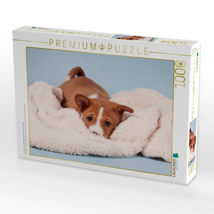 Ein Motiv aus dem Kalender Süße Basenji-Kinder - CALVENDO Foto-Puzzle'