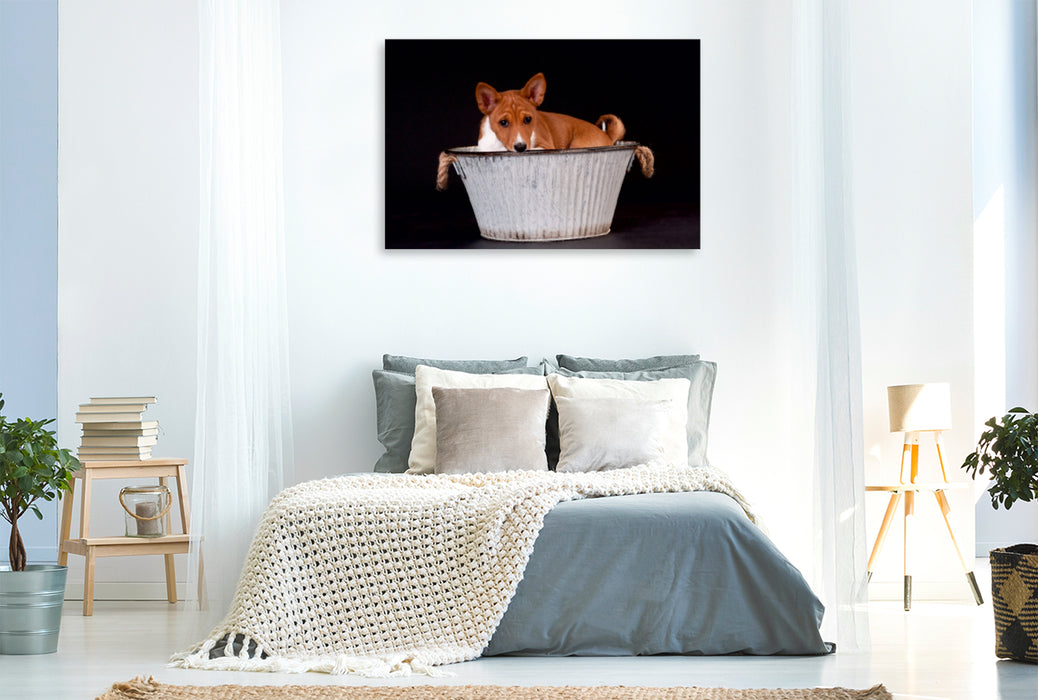 Premium Textil-Leinwand Premium Textil-Leinwand 120 cm x 80 cm quer Ein Motiv aus dem Kalender Süße Basenji-Kinder