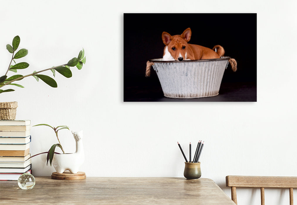 Premium Textil-Leinwand Premium Textil-Leinwand 120 cm x 80 cm quer Ein Motiv aus dem Kalender Süße Basenji-Kinder