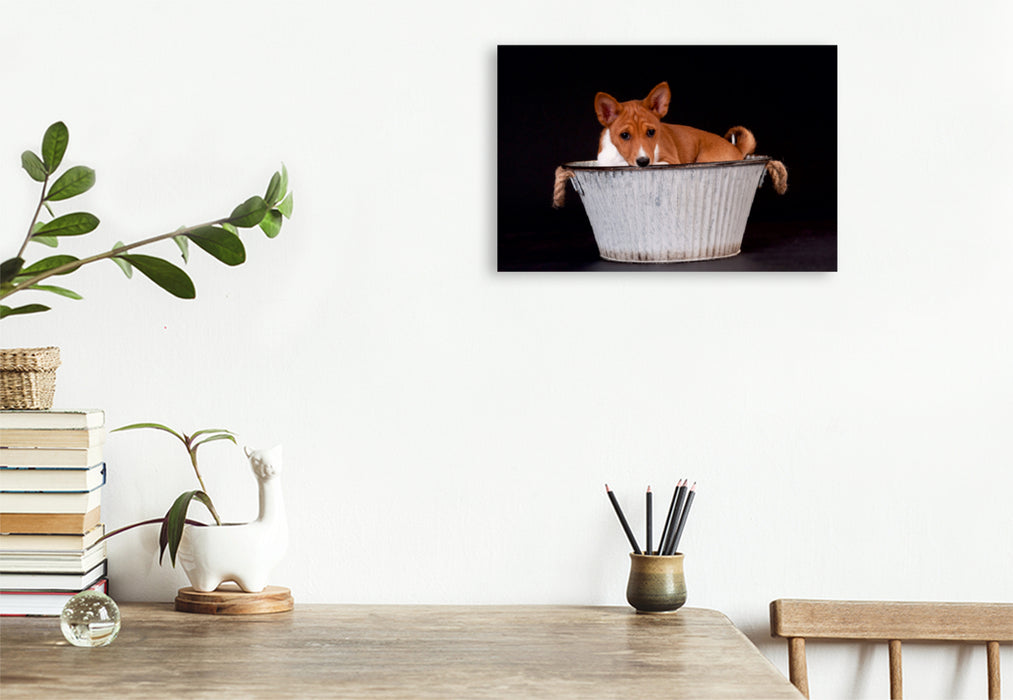 Premium Textil-Leinwand Premium Textil-Leinwand 120 cm x 80 cm quer Ein Motiv aus dem Kalender Süße Basenji-Kinder