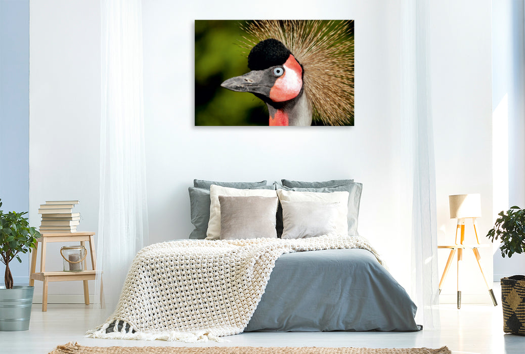 Premium Textil-Leinwand Premium Textil-Leinwand 120 cm x 80 cm quer Ein Motiv aus dem Kalender Weltvogelpark Walsrode - Die Vielfalt der Vogelarten