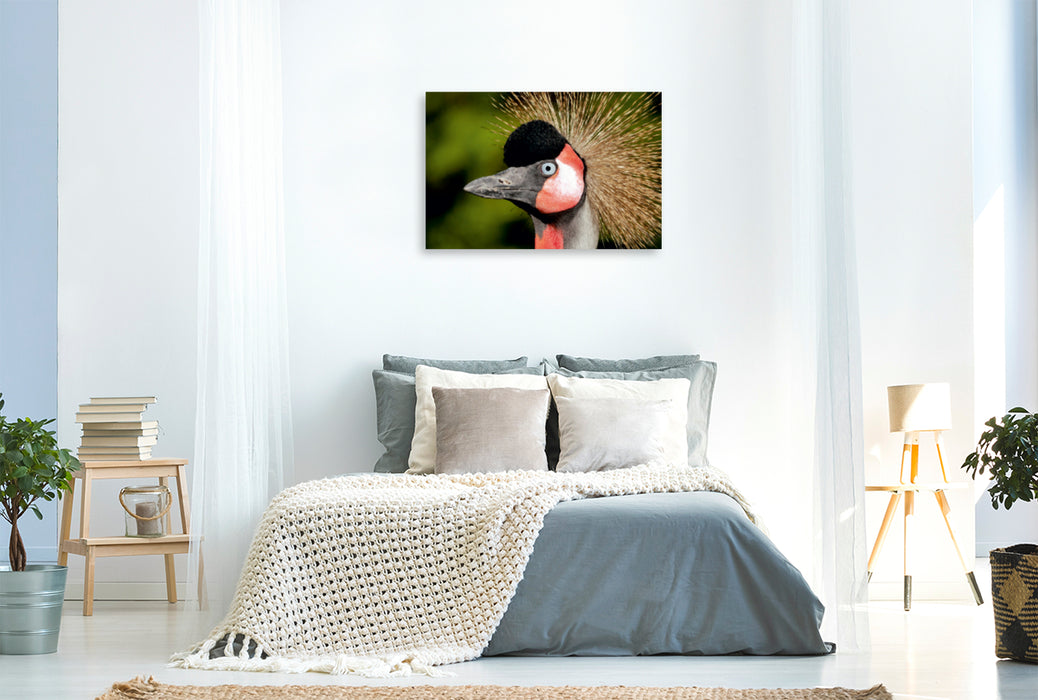 Premium Textil-Leinwand Premium Textil-Leinwand 120 cm x 80 cm quer Ein Motiv aus dem Kalender Weltvogelpark Walsrode - Die Vielfalt der Vogelarten