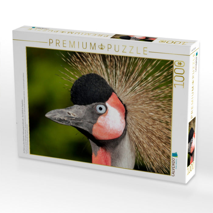 Ein Motiv aus dem Kalender Weltvogelpark Walsrode - Die Vielfalt der Vogelarten - CALVENDO Foto-Puzzle'