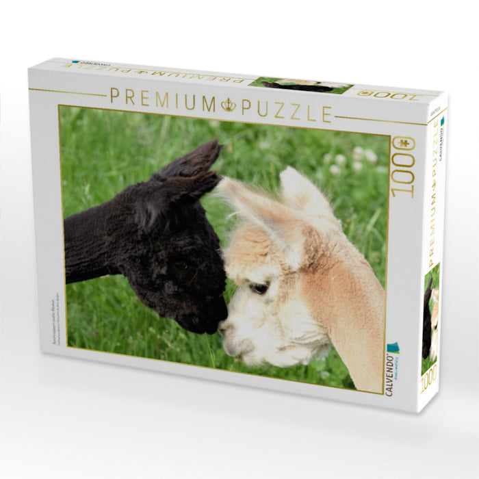 Beschnuppern zweier Alpakas - CALVENDO Foto-Puzzle'