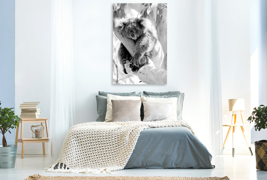 Premium Textil-Leinwand Premium Textil-Leinwand 80 cm x 120 cm  hoch Ein Motiv aus dem Kalender Koala  Ein Bär, der kein Bär ist