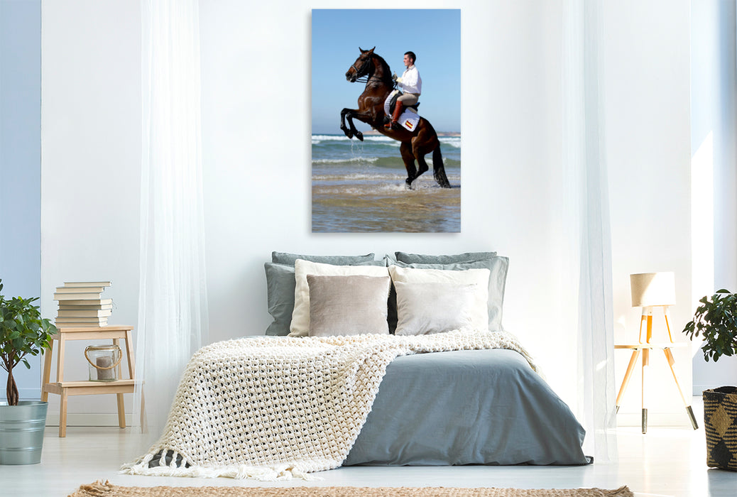 Premium Textil-Leinwand Premium Textil-Leinwand 80 cm x 120 cm  hoch Am Strand: Spanischer Reiter mit steigendem Hengst