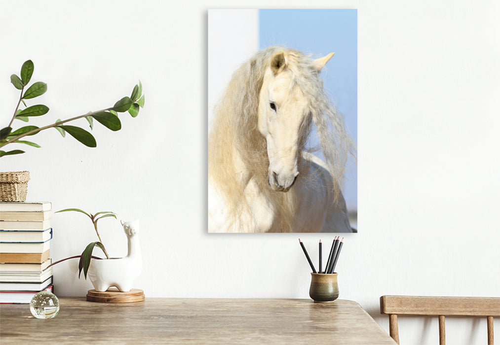 Premium Textil-Leinwand Premium Textil-Leinwand 60 cm x 90 cm hoch Ein Motiv aus dem Kalender Caballos - Die schönen Pferde Spaniens