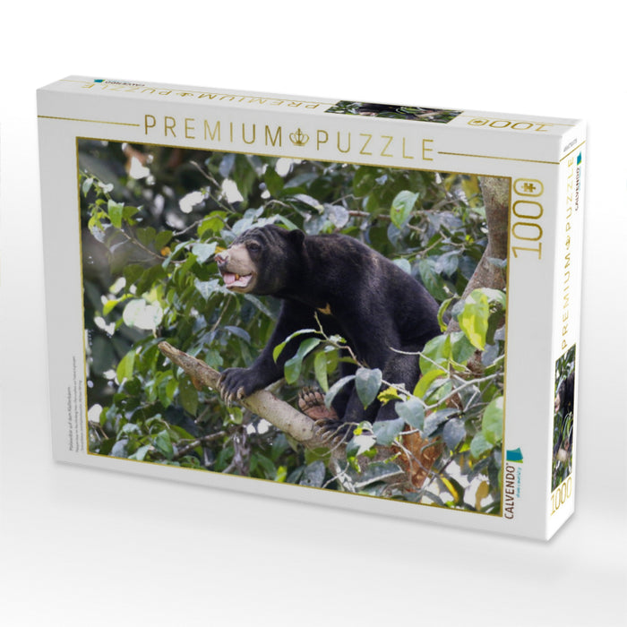 Malaienbär auf dem Kletterbaum - CALVENDO Foto-Puzzle'