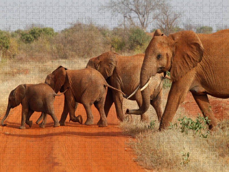 Elefanten - Parade - CALVENDO Foto-Puzzle'