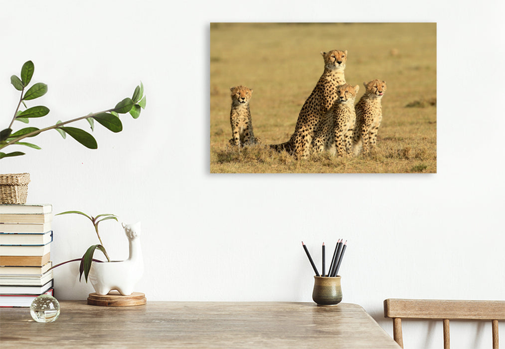 Premium Textil-Leinwand Premium Textil-Leinwand 120 cm x 80 cm quer Ein Motiv aus dem Kalender Wildtierparadies Afrika - Eine Foto-Reise durch die Savannen