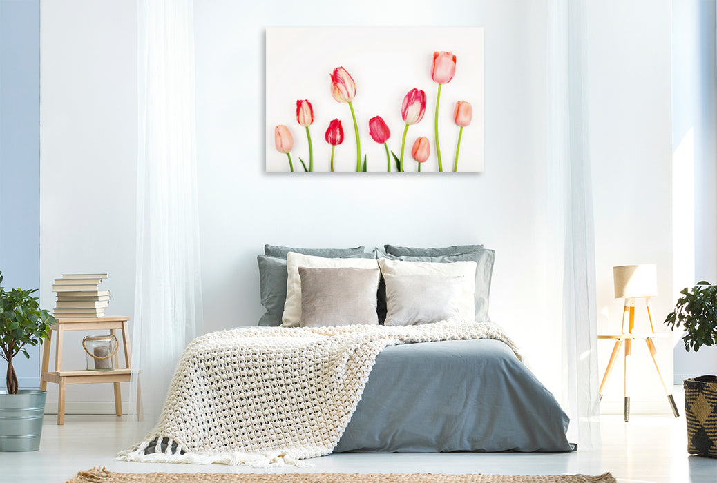 Premium Textil-Leinwand Premium Textil-Leinwand 120 cm x 80 cm quer Verliebt in rosa-rote Tulpen