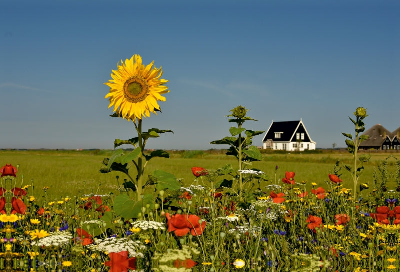 Premium Textil-Leinwand Sommer auf der Insel