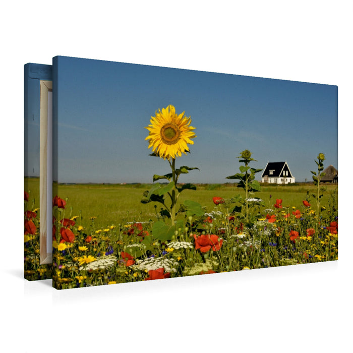 Premium Textil-Leinwand Sommer auf der Insel