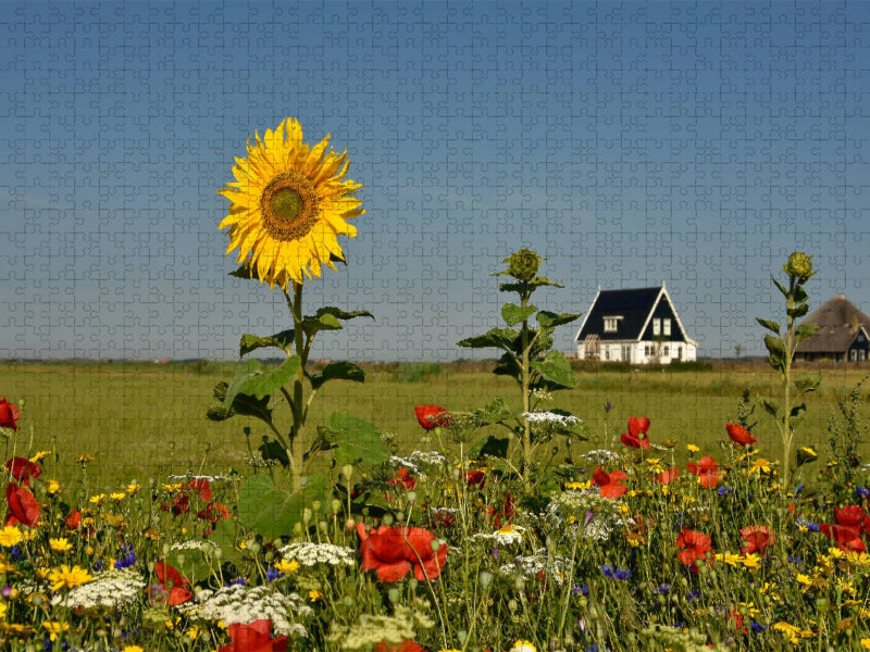 Sommer auf der Insel - CALVENDO Foto-Puzzle'