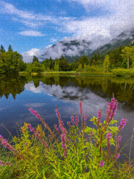 Blutweiderich, Moorweiher - CALVENDO Foto-Puzzle'