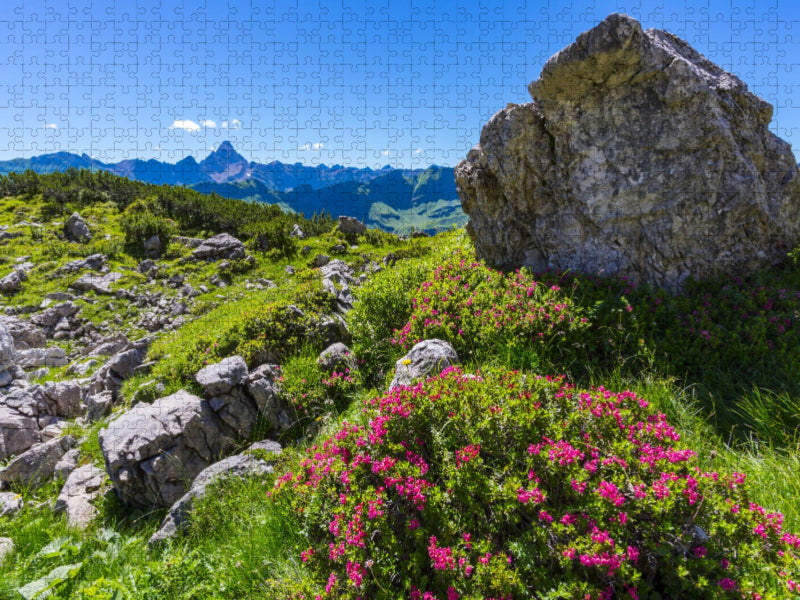 Alpenrosenblüte am Nebelhorn - CALVENDO Foto-Puzzle'
