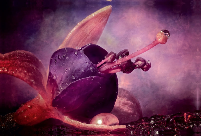 Premium Textil-Leinwand Spaceflower